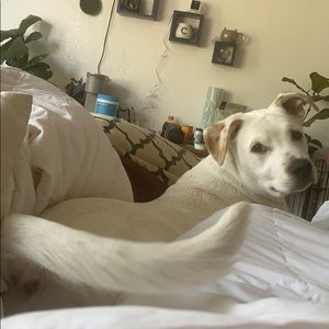 Meet your Posher, Christian